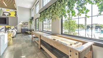 A kitchen with a long wooden table and a window with plants hanging from it.